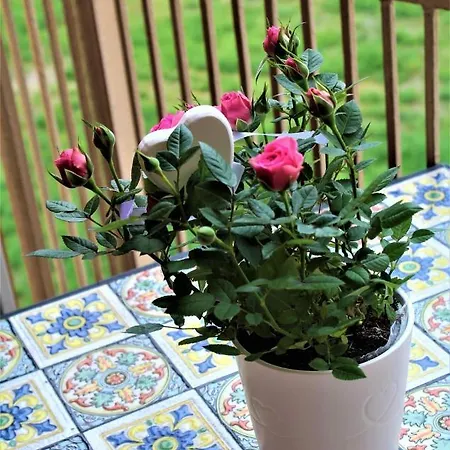 Il Duomo Dietro L'angolo, Con Terrazzino Apartment